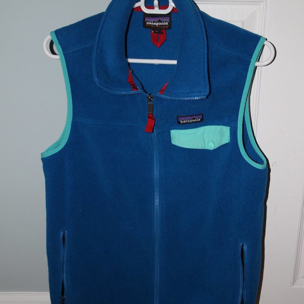 Men's Patagonia Vest (Medium)